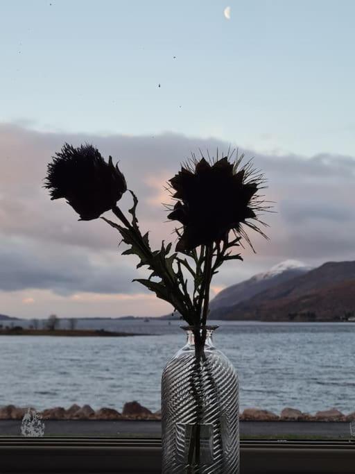 Fort William Loft On Shore Front With Amazing Views Caol Eksteriør bilde